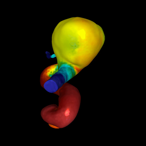 rasterizer demo